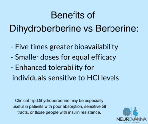 Benefits of the herbal Dihydroberberine Vs Berberine