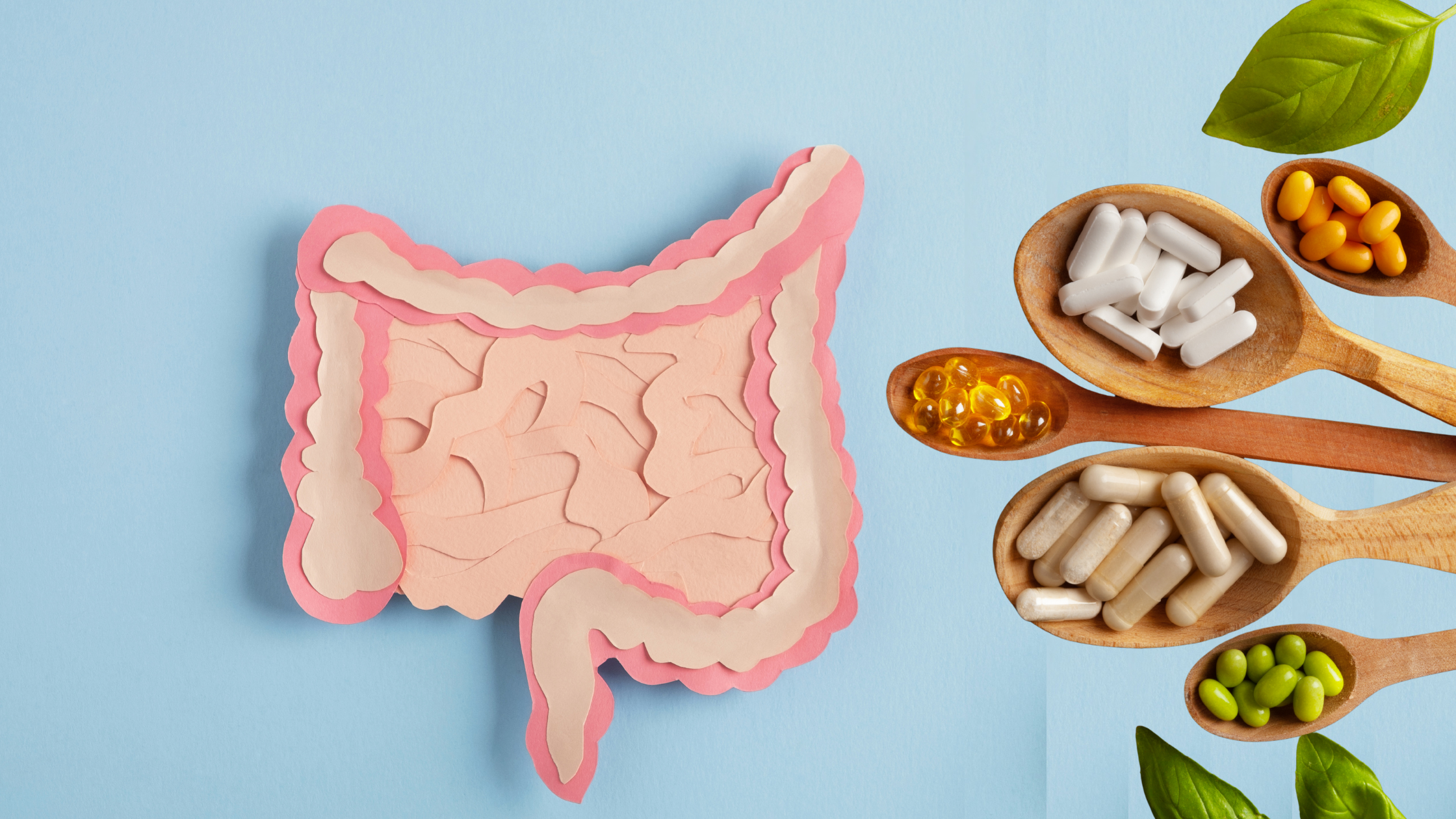 Herbal Protocols for Hydrogen and Methane Overgrowth